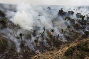 Ein Bild von 2017, dass die Zerstörung der illegalen Rodungen zeigt. (Bild: ap)