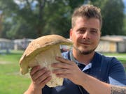 Der Wittenbacher Adrian Schenkel hat diesen enormen Steinpilz im Wallis gefunden. (Bild: zVg)