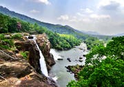 In den abwechslungsreichen Landschaften des Bundesstaats Kerala sind 500 Vogelarten heimisch. Bild: Shutterstock