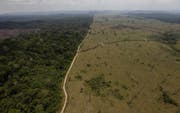 Je mehr Bäume gerodet werden, desto weniger CO2 können sie bilden. Dieses Archivbild von 2009 zeigt das Ausmass der Rodungen im nördlichen Teil des Amazonasgebiets in Brasilien. (Bild: Keystone)