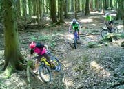 Mountainbiker auf einem illegalen Trail: Sie müssen künftig mit einer Busse rechnen (Bild: PD)