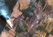 Brände und gerodete Waldfläche im Amazonasbecken. (Bild: Keystone)