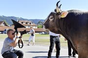 Starfotograf Toto Marti rückt Kolin bei der Präsentation des Gabentempels ins beste Licht. (Bild: KEYSTONE/Walter Bieri, Zug, 9. August 2019)