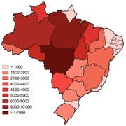 Mit Abstand am meisten Waldbrände gab es im gesamten Jahr 2019 bisher im brasilianischen Bundesstaat Mato Grosso. Stark betroffen sind auch die Bundesstaaten Pará, Amazonas, Tocantins und Rondônia. (Bild: Watson/queimadas.dgi.inpe.br)