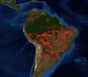 Waldbrände in Südamerika, Stand 23. August 2019. Die meisten Brände gibt es im Süden des Einzugsgebiets des Amazonas. Aber auch andere Regionen in Brasilien und weitere Länder in Südamerika sind betroffen. (Bild: Nasa/Modaps)