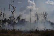 Der brennende Amazonas befeuert den Streit um das Freihandelsabkommen der Schweiz mit den Mercosur-Staaten. (Bild: Keystone)