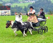 Karin Forrer mit Stefanie Bärlocher auf dem Hindernisparcours. (Bild: Peter Jenni)