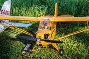 Dieses Flugzeug, eine Piper J-3 Cup, ist eines der Modelle, das in Mosnang in den Himmel steigt. (Bild: Urs Bucher)