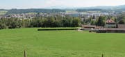 Der umstrittene Deponiestandort liegt nord-östlich des Thurhofs in Oberbüren. Das Volumen wird mit 500 000–700000 Kubikmeter angegeben. (Bild: Andrea Häusler£)