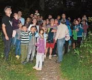 Blick in den Nachthimmel zu den Fledermäusen. (Bild: Monika Wick)
