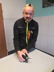 75 Prozent der Notfälle betreffen Wildtiere. (Bild: PD)