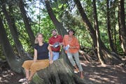 Rahel Wohlgensinger, Julian Fitze vom Seemuseum und Dorena Raggenbass schätzen die Vielfalt, die der Seeburgpark bietet. (Bild: Hannah Engeler)