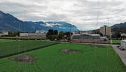 Die Visiere künden vom grossen Gewerbeprojekt im geplanten Zentrum Präzisionsindustrie Alpenrheintal. Bild: Corinne Hanselmann