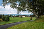 Ein Wanderweg auf dem Zugerberg. (Bild: Christian H. Hildebrand, 2. August 2019)
