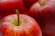 Der Apfel. (Bild: Luca Ghiselli - 3. Januar 2019)