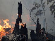 Die brasilianische Regierung will angesichts der verheerenden Waldbrände im Amazonasgebiet Brandrodungen in der Trockenzeit verbieten. " (Foto: Eraldo Peres/AP) (Bild: KEYSTONE/AP/ERALDO PERES)