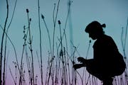Wie im Märchen: Im Kunstraum Kreuzlingen baut Ursula Palla für die Doppelausstellung ihre Installation «empty garden» auf. (Bild: Donato Caspari)