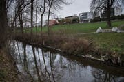 Die Sure in Oberkirch. (Bild: Boris Bürgisser, 28. November 2017)