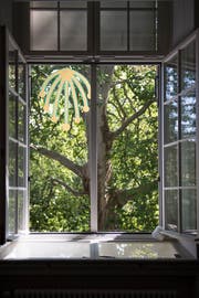 Andy Storcheneggers Installation «The Snake ist often on a Tree» hängt in einer Platane im Stadtpark. (Bild: Adriana Ortiz Cardozo).