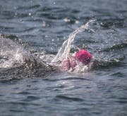 Eine Teilnehmerin schwimmt rheinabwärts. (Bild: Peter Spirig)