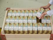 Der Franken ist aufgrund der wahrscheinlich anstehenden Lockerung der Geldpolitik der US-Notenbank Fed und der Europäischen Zentralbank sowie wegen der drohenden Eskalation des US-chinesischen Handelsstreits in den letzten Tagen weiter erstarkt. (Bild: KEYSTONE/SCHWEIZERISCHE NATIONALBANK SNB)