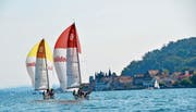 Vor Steckborn haben sich am Wochenende Segler aus der ganzen Schweiz gemessen. (Bilder: PD/Carmen Somm)
