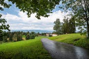 Mit Blick auf die Bergstation. (Christian H. Hildebrand, Zug, 2. August 2019)