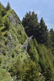 Der Wald ist insbesondere für die W&O ein wichtiger Schutz gegen Naturgewalten - ohne ihn wären gewisse Gebiete nicht mehr bewohnbar. (Bild: Heini Schwendener)