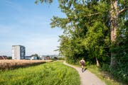 Der Fussweg beim Brüggli Richtung Cham. (Bild: Patrick Huerlimann, Zug, 19. Juli 2019)