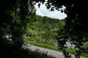 Der idyllische Weiher im Steinhauser Wald. (Bild: Stefan Kaiser, Steinhausen, 29. Mai 2018)