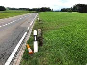 Die beschädigten Leitpfosten. (Bild: Kapo)