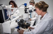 Achim Fleischmann stellt bei der histologischen Untersuchung von Gewebeproben mit seinen Kollegen eine Diagnose auf. (Bild: Reto Martin)