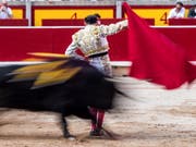 Die Rückkehr der Toreros auf Mallorca ist vom spanischen Verfassungsgericht ermöglicht worden. (Bild: KEYSTONE/EPA EFE/RODRIGO JIMENEZ)