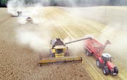 Die Landwirtschaft muss laut dem Weltklimarat umweltfreundlicher werden. (Bild: Bernd Wüstneck/DPA / Neubukow, 5. August 2019)