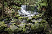 Russell Falls (Quelle: Lohri Reisen)