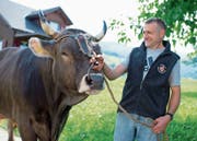 Landwirt Erwin Niederberger und sein Stier Wichtel sind ein gutes Team. (Bild: Maria Schmid, Unterägeri, 29. August 2019)