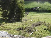 Der Lastwagen überschlug sich mehrmals einen Abhang hinunter, bevor er in einem Maisfeld zum Stillstand kam. (Bild: Kantonspolizei Graubünden)