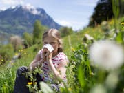 Vor allem die Gräserpollen sorgten in diesem Jahr für allergische Reaktionen wie Heuschnupfen. (Bild: KEYSTONE/GAETAN BALLY)