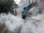 In der Region von Manila versucht das Gesundheitsministerium die Stechmücken zu vernichten, die das Dengue-Virus übertragen. (Bild: KEYSTONE/EPA/ROLEX DELA PENA)