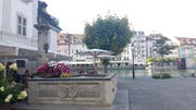 Der Löwenbrunnen beim Jesuitenplatz. (Bild: PD)