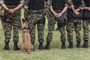 Im Kompetenzzentrum «Veterinärdienst und Armeetiere» werden Hundeführer und Diensthunde ausgebildet. (Bild: Christian Beutler/Key (Schönbühl, 31. August 2018))