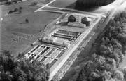 Luftbild von Nordwesten von Oktober 1970: die neue Kläranlage. Links oben die Haubitzenstrasse, damals noch Sackgasse. (Bild: PD)