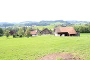 Blick in Richtung Westen auf Oetschwil. Im Haus in der Bildmitte befand sich einst eine Gastwirtschaft. Im Hintergrund sieht man die Häuser des Weilers Engi (rechts) und des Dorfes Bütschwil. (Bild: Martin Knoepfel)