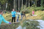 Die Schülerinnen und Schüler sammeln das gemähte Gras mit Heugabeln ein. (Bild: Elena Fasoli)