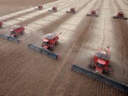 Sojabohnen-Ernte im brasilianischen Bundesstaat Mato Grosso. Genmanipulierte Sojabohnen der Bayer-Tochter Monsanto dürfen weiterhin in der EU verkauft werden. Sie werden vor allem in Südamerika angebaut. (Bild: KEYSTONE/AP/Andre Penner)