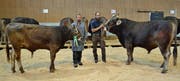 «Mister Genetik OB» Tizian von Ueli Achermann (rechts) und Brown Swiss Gandoro von Josef Forrer. (Bild: Peter Jenni)