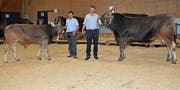 «Mister Original Braune» jüngere, Obelix, von Samuel Jäger (links) und ältere, Einar, von Martin Schrepfer (Bild: Peter Jenni).