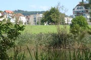 Zwei von ehemals vier Weihern existieren im Areal der Burgweier immer noch. Seinen Namen hat das Areal von der Burg Waldegg (hinten rechts), zu der es einst gehörte. (Bild: Sam Thomas - 24. Oktober 2003)