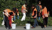 In der ganzen Schweiz sammeln Schulen, Vereine, Gemeinden und Unternehmen am Freitag und Samstag Abfall. (Bild: APZ)