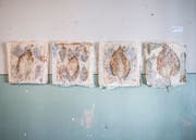 Die zarten Druckarbeiten von Cornelia Schedler verbinden sich mit dem Raum. (Bild: Andrea Stalder)